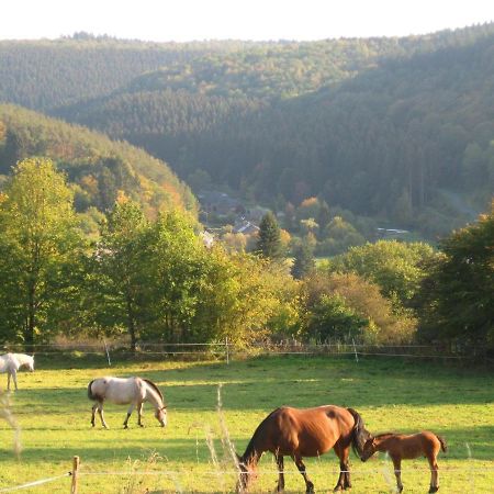 Pretty Cottage Ardennes Near The Valley Of Lesse Vencimont Zewnętrze zdjęcie