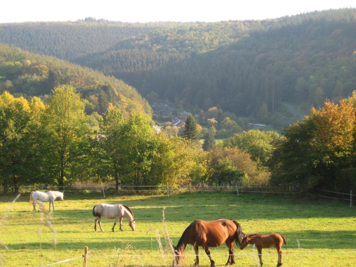 Pretty Cottage Ardennes Near The Valley Of Lesse Vencimont Zewnętrze zdjęcie